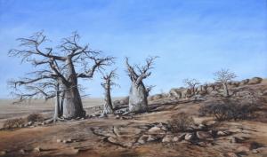 Baobabs of Kubu Island
