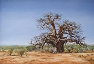 Limpopo Baobab