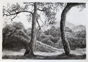 29 JULY TREES IN CHARCOAL DEMO FINAL 
