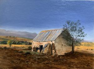 IMG 1120 KAROO SHED OIL